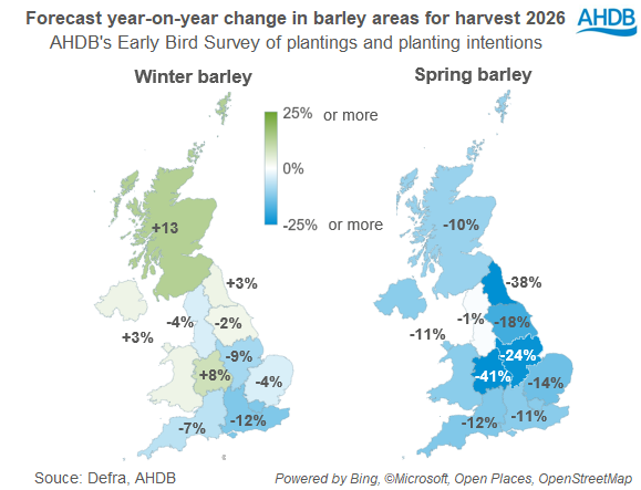 Early bird Fig 2 18 12 2025